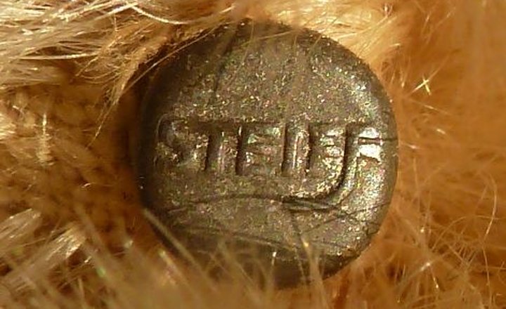 Macro photograph of an embossed Steiff metal button set into a teddy bear's ear